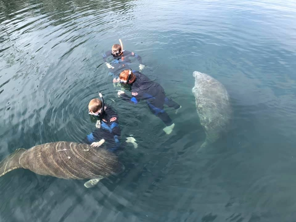 Manatee Tours | Homosassa Fishing Charters | Scalloping Tours